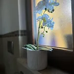 度假居 Le Terrazze Di Rosa *