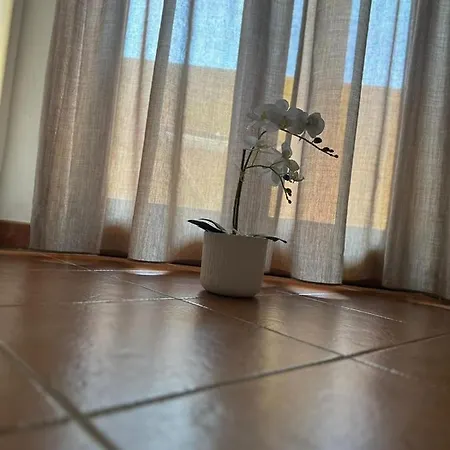 Le Terrazze Di Rosa Hébergement de vacances *