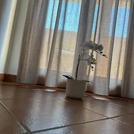 בית נופש Le Terrazze Di Rosa פולינאנו א מארה