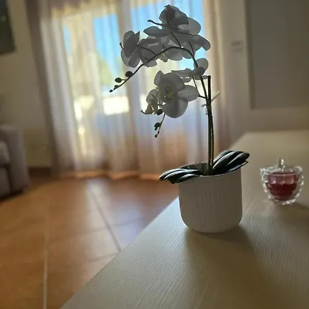 Le Terrazze Di Rosa Polignano a Mare