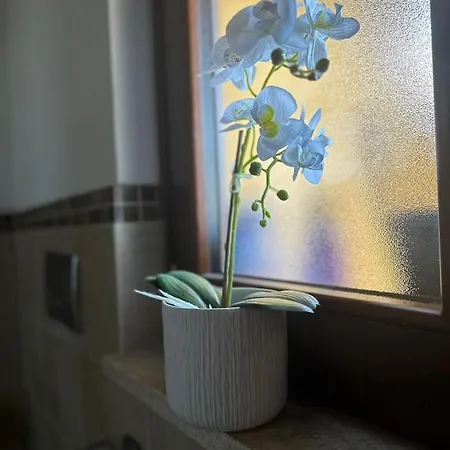 בית נופש Le Terrazze Di Rosa *